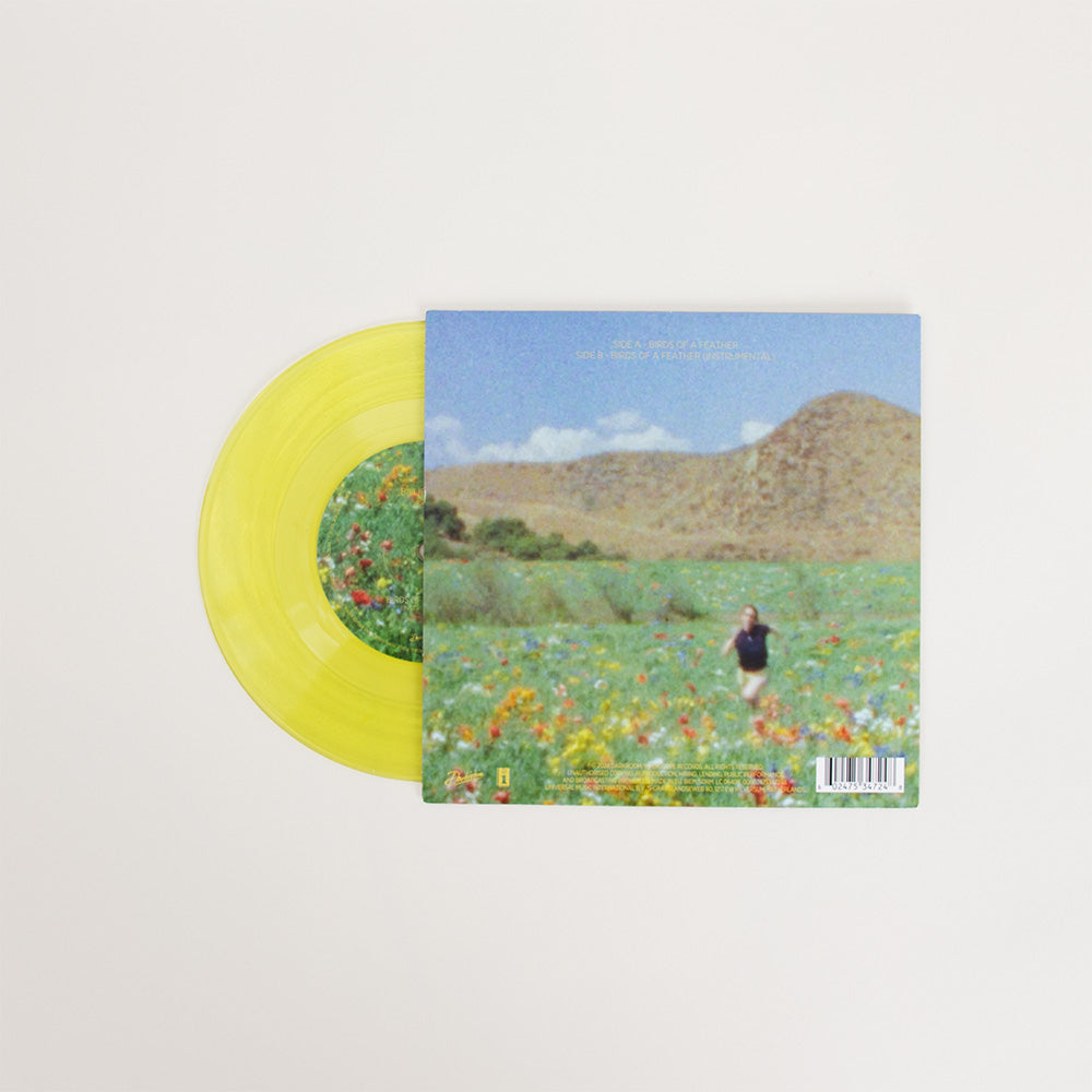 BIRDS OF A FEATHER 7” Vinyl (Translucent Green)